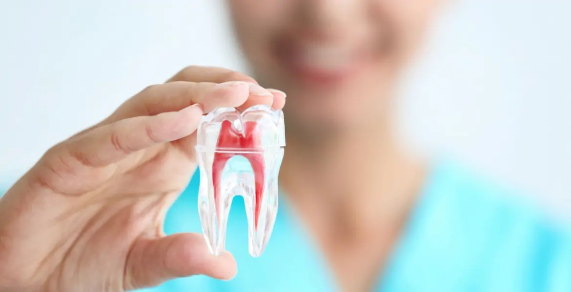 Endodontics (Root Canal Treatment)